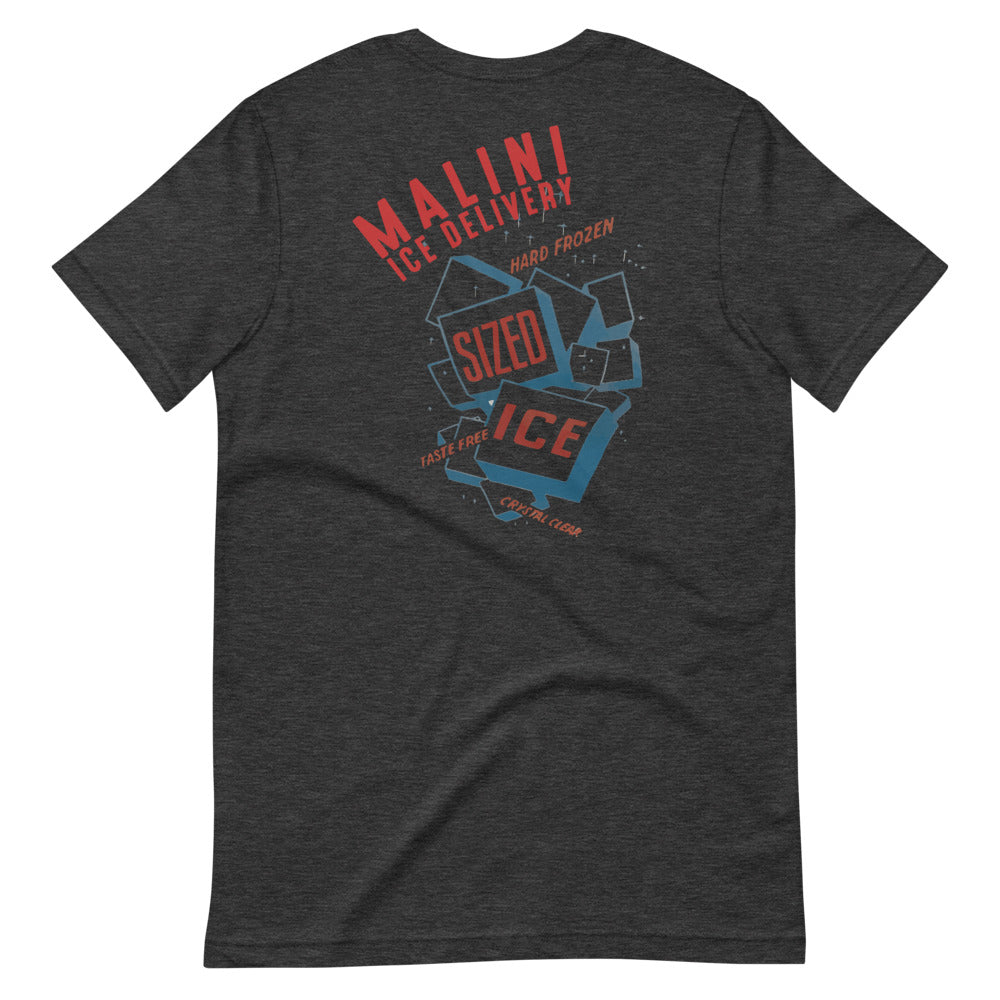 Malini Ice Delivery